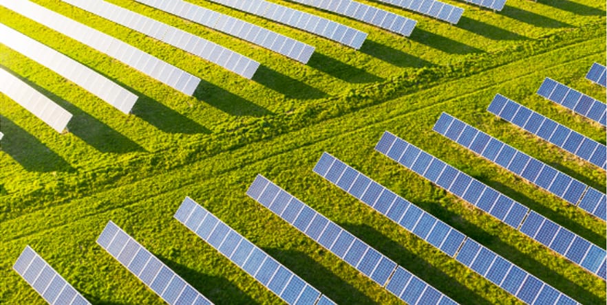 solar panels in a field