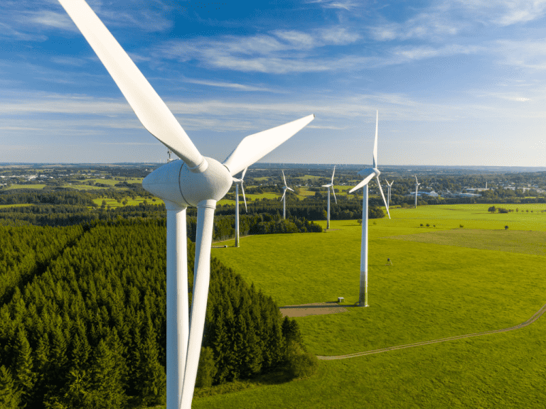 wind turbines in a field