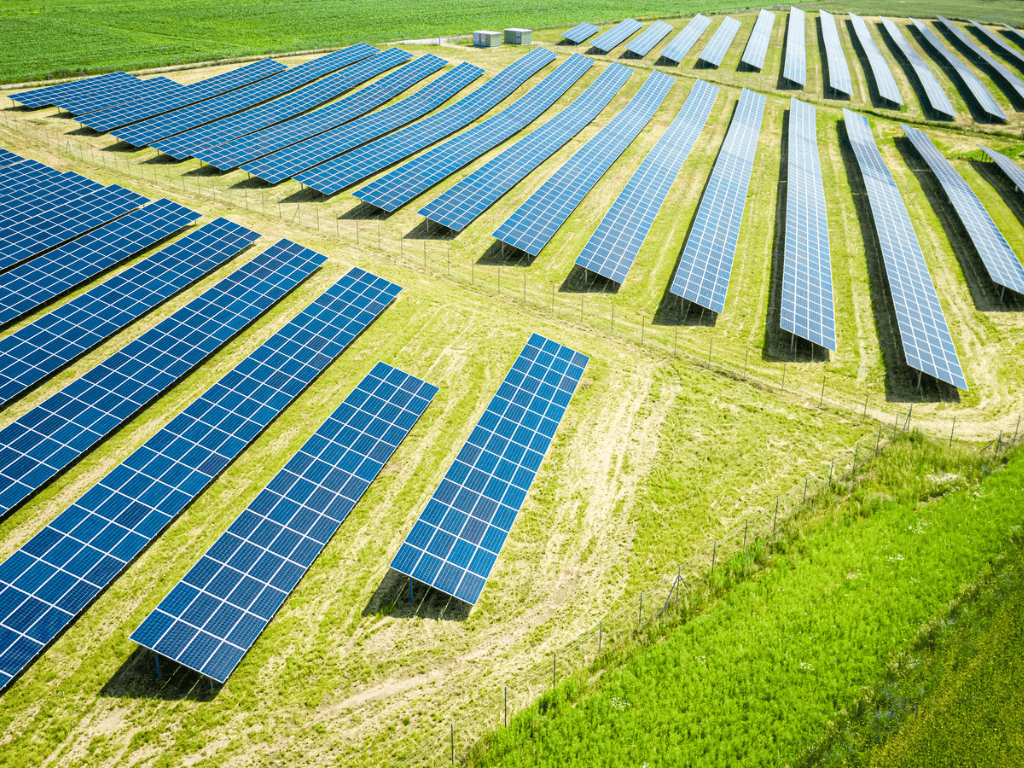 solar panels in a field